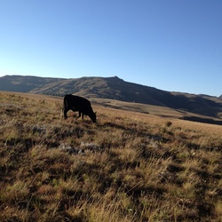 2015-05 South Africa/Drakensburg/IMG_3805.JPG